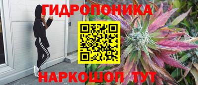 винт Нальчик