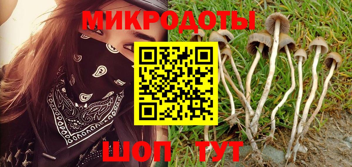 даркнет сайт  Галлюциногенные грибы мицелий  Вход с VPN  Углич 