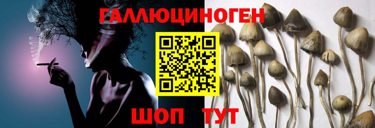 Галлюциногенные грибы ЛСД Углич